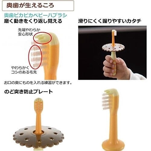 Richell - T.L.I Try Back Teeth Shiny Baby Toothbrush (2 Pieces) Baby Toothbrush