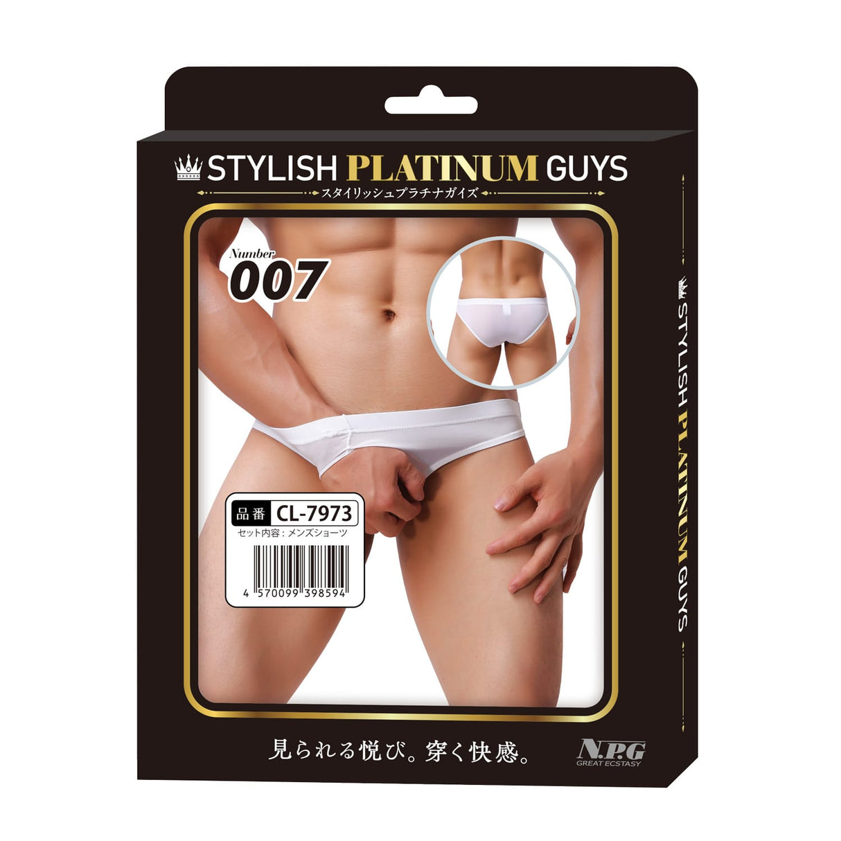 Stylish Platinum Guys - Men's Sheer Underwear Collection CherryAffairs