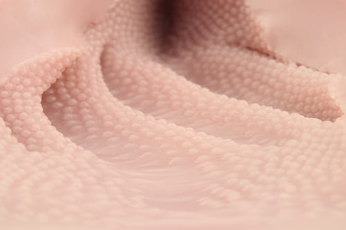 Tomax - Lilith Spiral Dots Textured Male Masturbator Onahole (Beige) CherryAffairs
