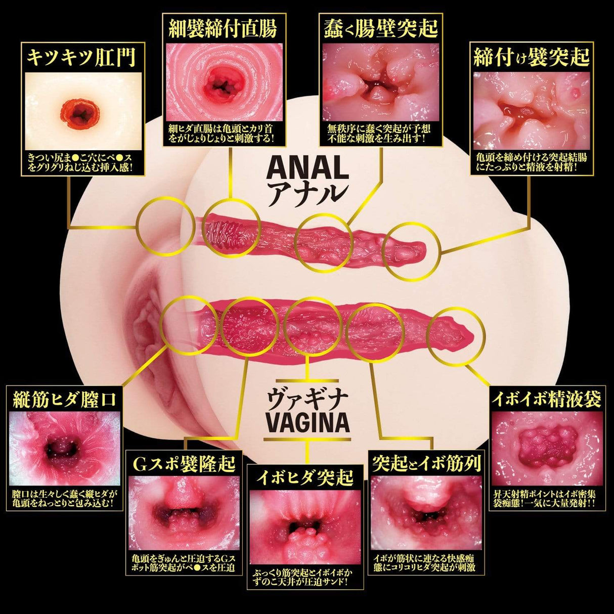 NPG - 2 Holes Raw Momojiri Eimi Fukada Onahole (Beige) NPG1169 CherryAffairs