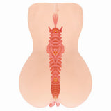 Kokos - Onahole Edition 001 Double Layer By Adel Masturbator (Beige) KK1066 CherryAffairs