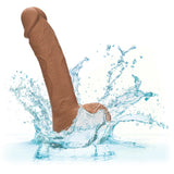 California Exotics - Dual Density Silicone Studs Realistic Dildo CherryAffairs