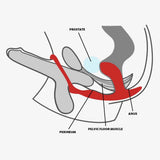 Fun Factory - Bootie Ring Silicone Cock Ring with Butt Plug (Black) FF1181 CherryAffairs