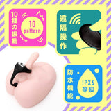 Hato Pura - Super Beginner 10 Remote Controlled Vibrating Anal Beads HTP1045 CherryAffairs