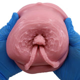 Tomax - Virgo Liber Male Masturbator Onahole CherryAffairs
