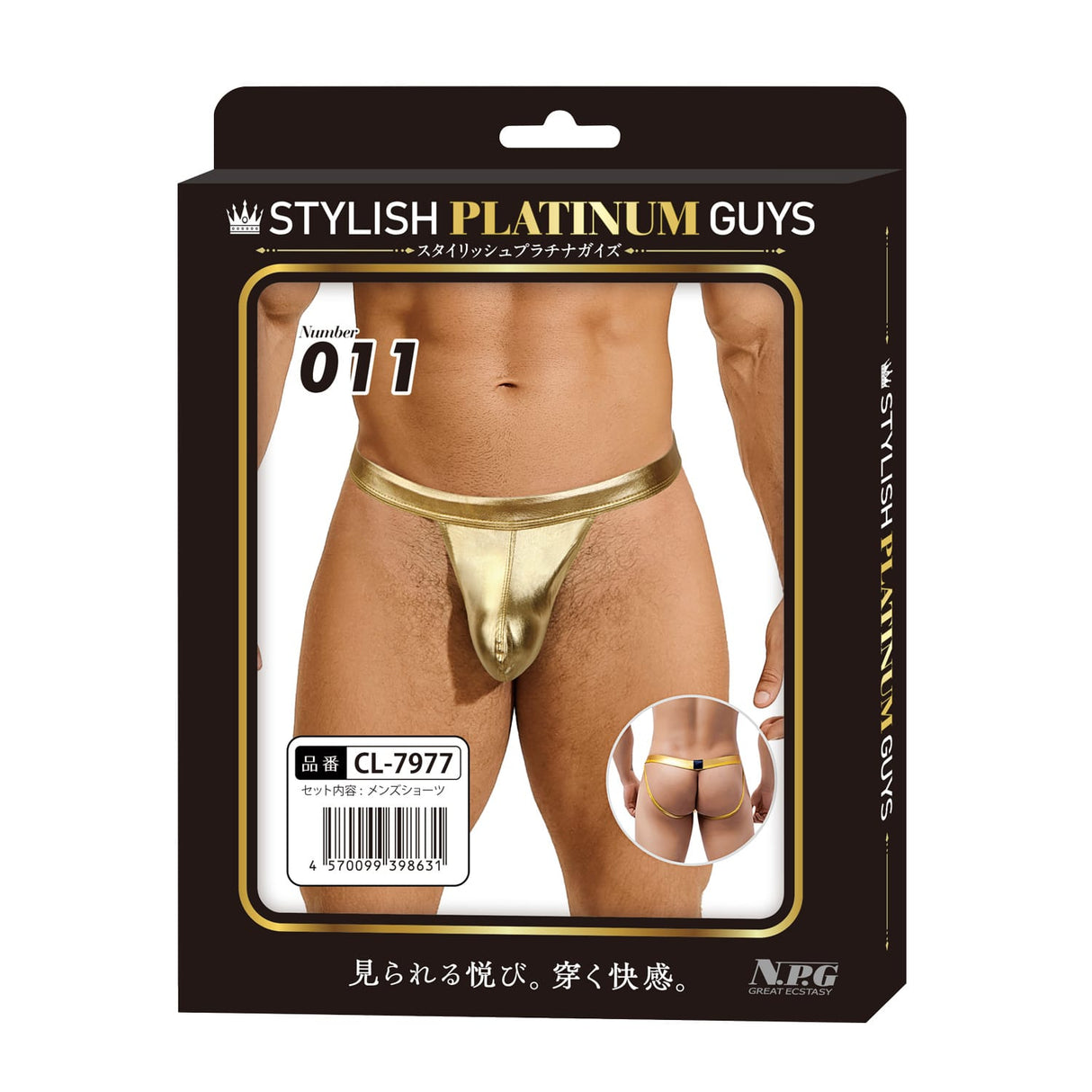 Stylish Platinum Guys - Men's Sheer Underwear Collection CherryAffairs