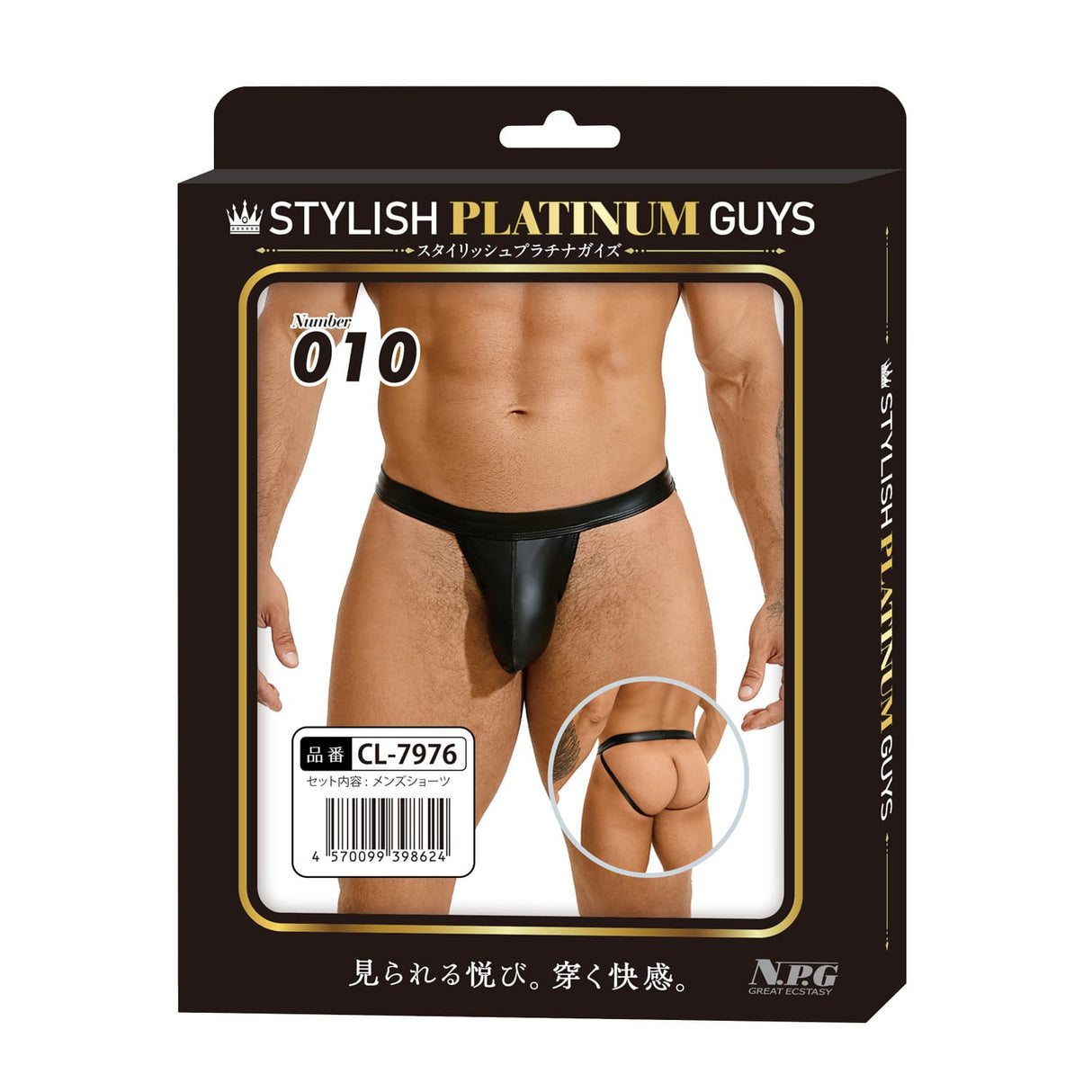 Stylish Platinum Guys - Men's Sheer Underwear Collection CherryAffairs