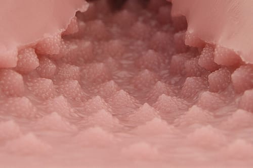 Tomax - Romanesco Male Masturbator Onahole CherryAffairs