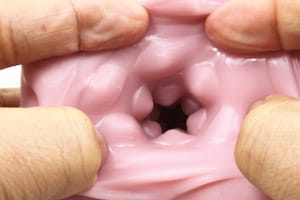 Tomax - Succubus 2.0 Bumpy Road Textured Male Masturbator Onahole (Beige) CherryAffairs
