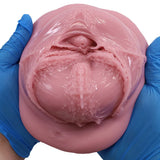 Tomax - Virgo Veritas Male Masturbator Onahole CherryAffairs